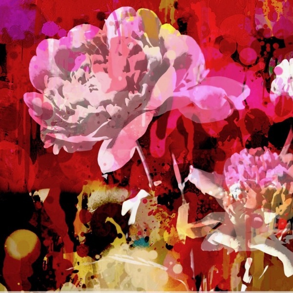 1Flower1