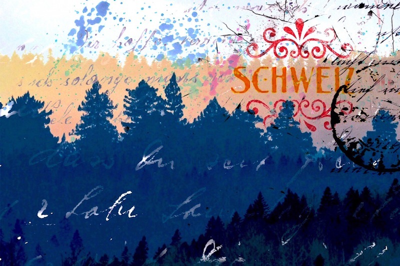 Swissmarion-duschldetta-bild-pop-art-collage-projekte-kundenauftraege-Schweiz-Switzerland-Tannen