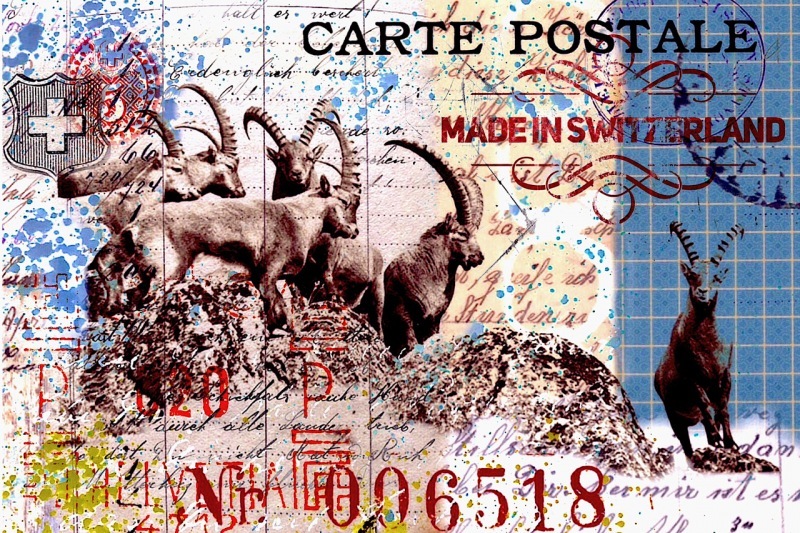 Swissmarion-duschldetta-bild-pop-art-collage-vintage-times-schweiz-switzerland-steinboecke
