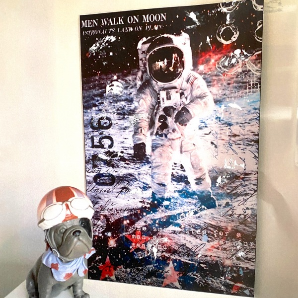8Bild-Marion-Duschletta-Collage-Pop-Art-Astronaut